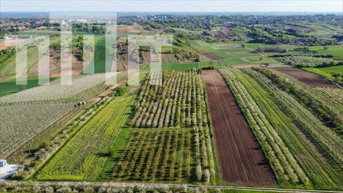 działka na sprzedaż 10841m2 działka Sandomierz