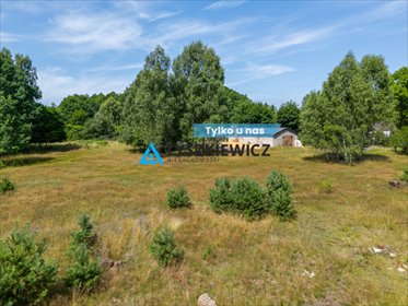 działka na sprzedaż 6000m2 działka Dzików