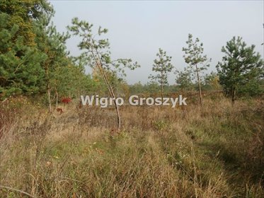 działka na sprzedaż 1000m2 działka Wymysły