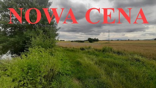 działka na sprzedaż 17100m2 działka Olbrachcice Wielkie