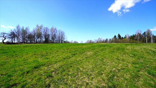 działka na sprzedaż 20000m2 działka Biecz