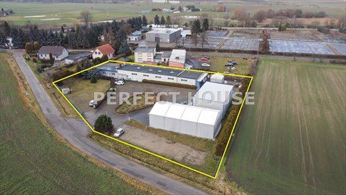 lokal użytkowy na sprzedaż 955m2 lokal użytkowy Kostrzyn