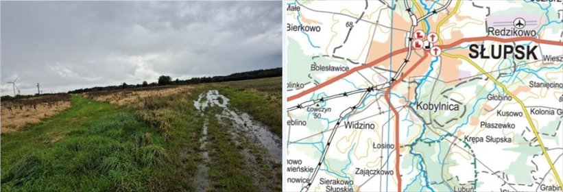 działka na sprzedaż 9900m2 działka Widzino