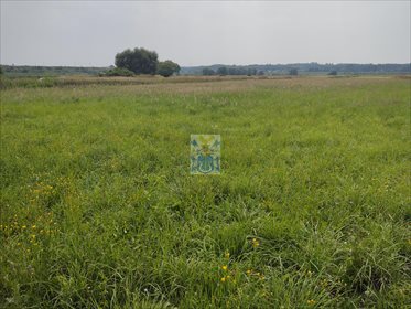 Działka budowlana na sprzedaż Ochodza 5 146m2 Foto 4