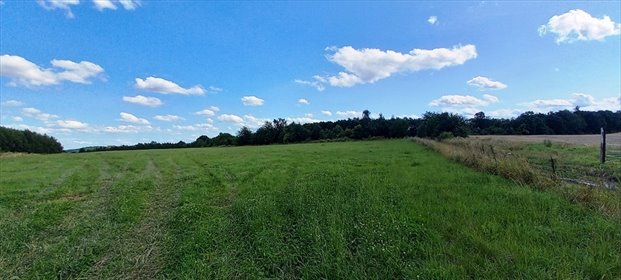 Sprzedam działki w Cieszowie blisko Książańskiego Parku Krajobrazowego działka Cieszów