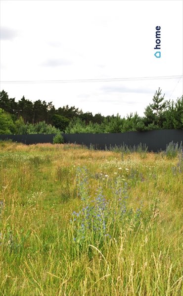 Działka 952 m² z warunkami zabudowy, las, media, Łachowo działka Łachowo