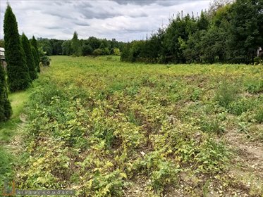 działka na sprzedaż 8500m2 działka Maszków