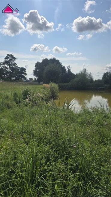 Działka 1430 m² przy stawie w Trębach Starych - polecam! działka Tręby Stare
