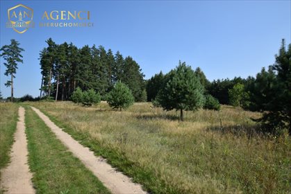 Działka rolno-leśna 3000 m² przy rezerwacie Krzemianka polecam działka Rybniki