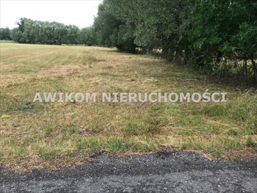 Sprzedam działkę 3800 m² z warunkami zabudowy i mediami działka Baranów/Grodzisk Mazowiecki, Baranów/Kopiska