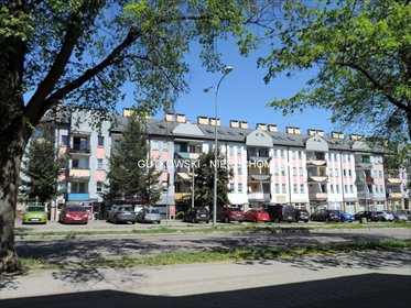 mieszkanie na wynajem 48m2 mieszkanie Iława, Iława