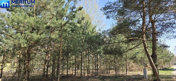 Działka 1500 m² w Radonii, media w zasięgu - polecam! działka Radonie