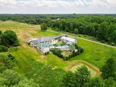 Urokliwa działka 25 000 m2 z domem, stawem i ogrodem działka Stare Budy