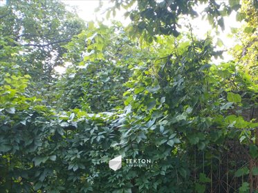 działka na sprzedaż 2600m2 działka Warszawa, Ursynów Natolin, Moczydłowska