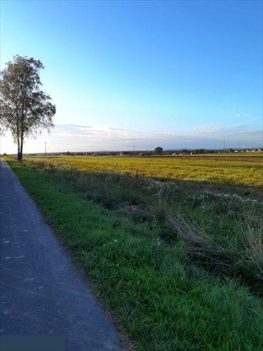 działka na sprzedaż 1000m2 działka Strzyżew, Stara Wieś