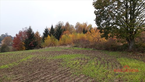 Działka rolna 14 678 m² z warunkami zabudowy, media przy drodze działka Danowo