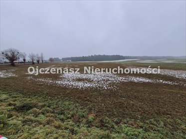 Teren inwestycyjny 5 092 m² z warunkami zabudowy działka Osówiec