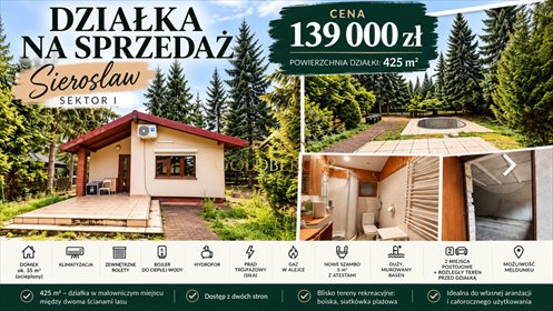 Działka 425 m² z domkiem, las, basen - polecam! działka Sierosław