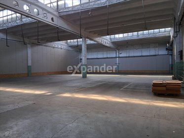 lokal użytkowy na wynajem 860m2 lokal użytkowy Rzeszów, Warszawska