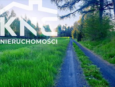 działka na sprzedaż 3200m2 działka Zemborzyce Podleśne