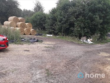 Na sprzedaż działka 0,39 ha w Krzepinie z mediami i dostępem działka Krzepin