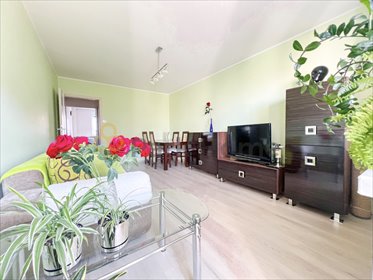 mieszkanie na sprzedaż 62m2 mieszkanie Zielona Góra