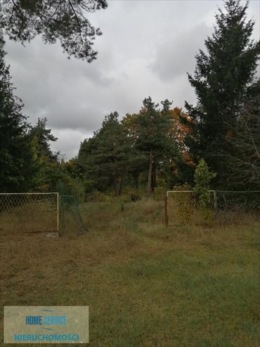 Zapraszam do zakupu działki 8642 m² z mediami i podziałem na 11 działek działka Czeremcha, Sportowa
