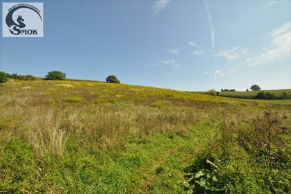 Działka rolna na sprzedaż Pietrzejowice 10 000m2 Foto 2