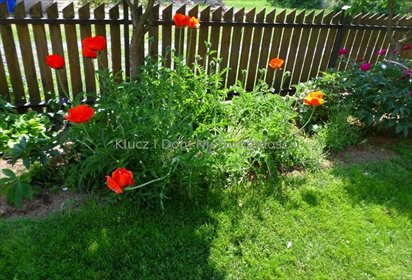 działka na sprzedaż 1900m2 działka Pruszków