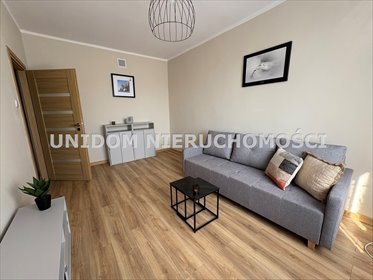 mieszkanie na wynajem 37m2 mieszkanie Katowice