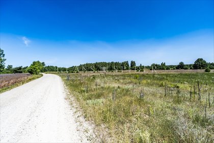 działka na sprzedaż 2900m2 działka Kośminy