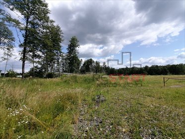 działka na sprzedaż 5994m2 działka Sade Budy