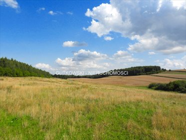 Polecam działkę nad jeziorem Studa z widokami 0,34 ha, rekreacyjny teren działka Lekarty
