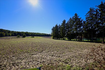 działka na sprzedaż 2367m2 działka Ciechanów, Śmiecin-Kolonie