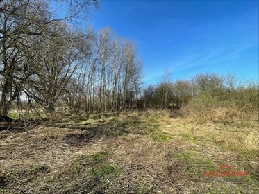 Działka 4800 m² z lasem, pod zabudowę jednorodzinną działka Trzebież