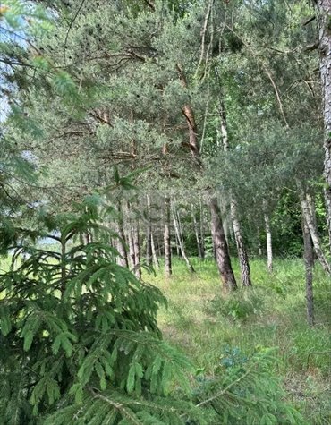 działka na sprzedaż 1520m2 działka Stara Wieś