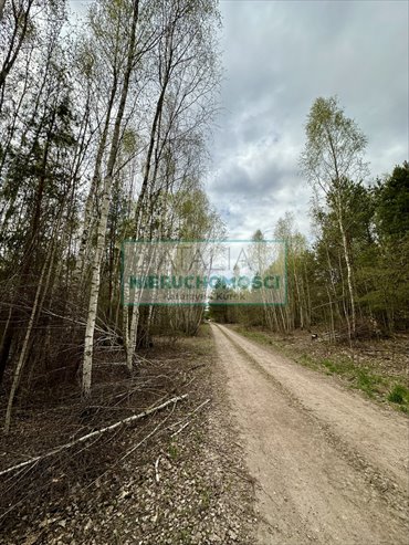 Działka 2799 m² z lasem, spokojna okolica, Nadarzyn działka Strzeniówka