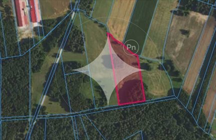 działka na sprzedaż 17000m2 działka Rynki