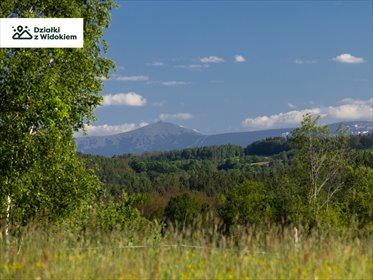 działka na sprzedaż 1178m2 działka Marczów, Marczów