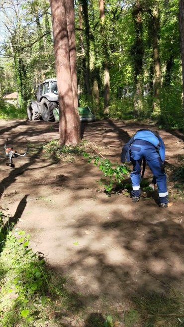 Działka budowlana na sprzedaż Konstancin-Jeziorna, Królewska Góra 2 198m2 Foto 3