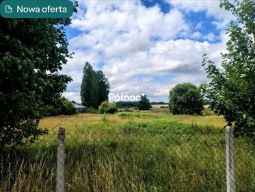 Działka 11 756 m² pod zabudowę w Nowych Bielicach - zapraszam działka Nowe Bielice, Piwonii