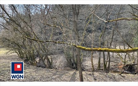 Działka 3936 m2 z warunkami zabudowy, las i strumień działka Ludwikowice Kłodzkie, Ludwikowice Kłodzkie, Kopalniana