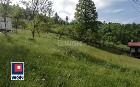 działka na sprzedaż 1230m2 działka Wisła, Tokarnia