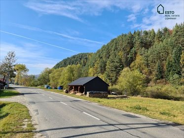 Działka budowlana na sprzedaż Ochotnica Górna 5 000m2 Foto 7