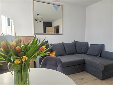 Polecam komfortowe 2-pokojowe mieszkanie z balkonem na Jeżycach mieszkanie Poznań, Jeżyce, Polna