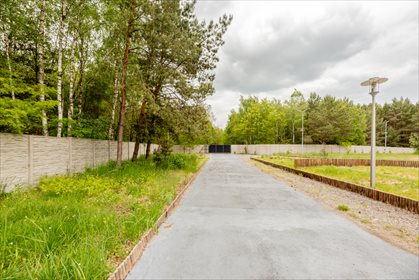 Działka inwestycyjna na sprzedaż Gucin 17 775m2 Foto 1