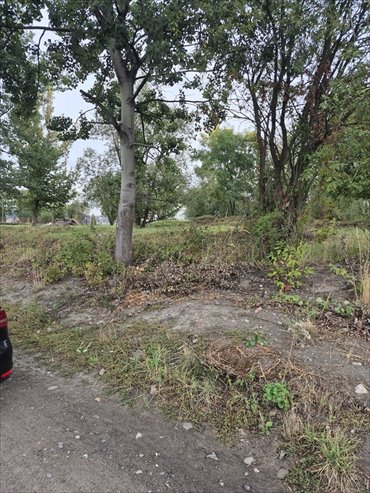 Działka inwestycyjna 10 000 m² w Gliwicach polecam działka Gliwice, Kozłowska
