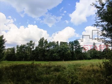 Działka 4400 m² z możliwością podziału - polecam działka Budy Michałowskie