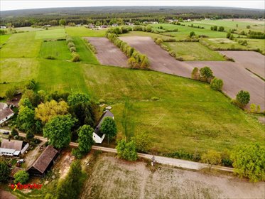 Działka 2,79ha z możliwością zabudowy i rekreacji działka Siedlisko