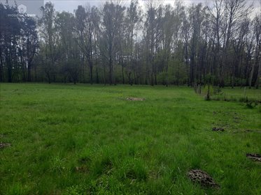 Działka budowlana na sprzedaż Nowy Prażmów, al. Główna 2 119m2 Foto 3